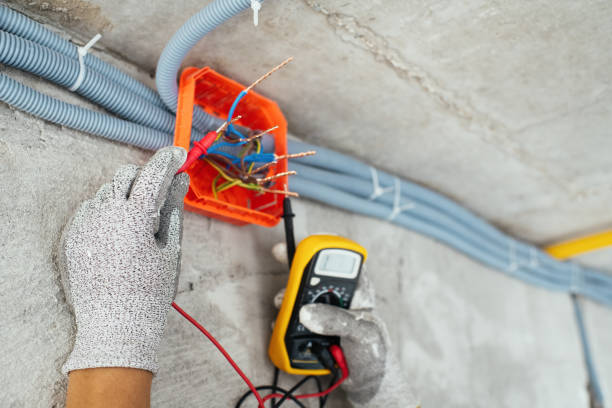 Best Electrician for Home Renovation  in Jackson, MI